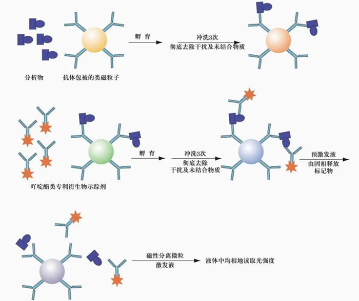 化學發(fā)光檢測儀的工作流程